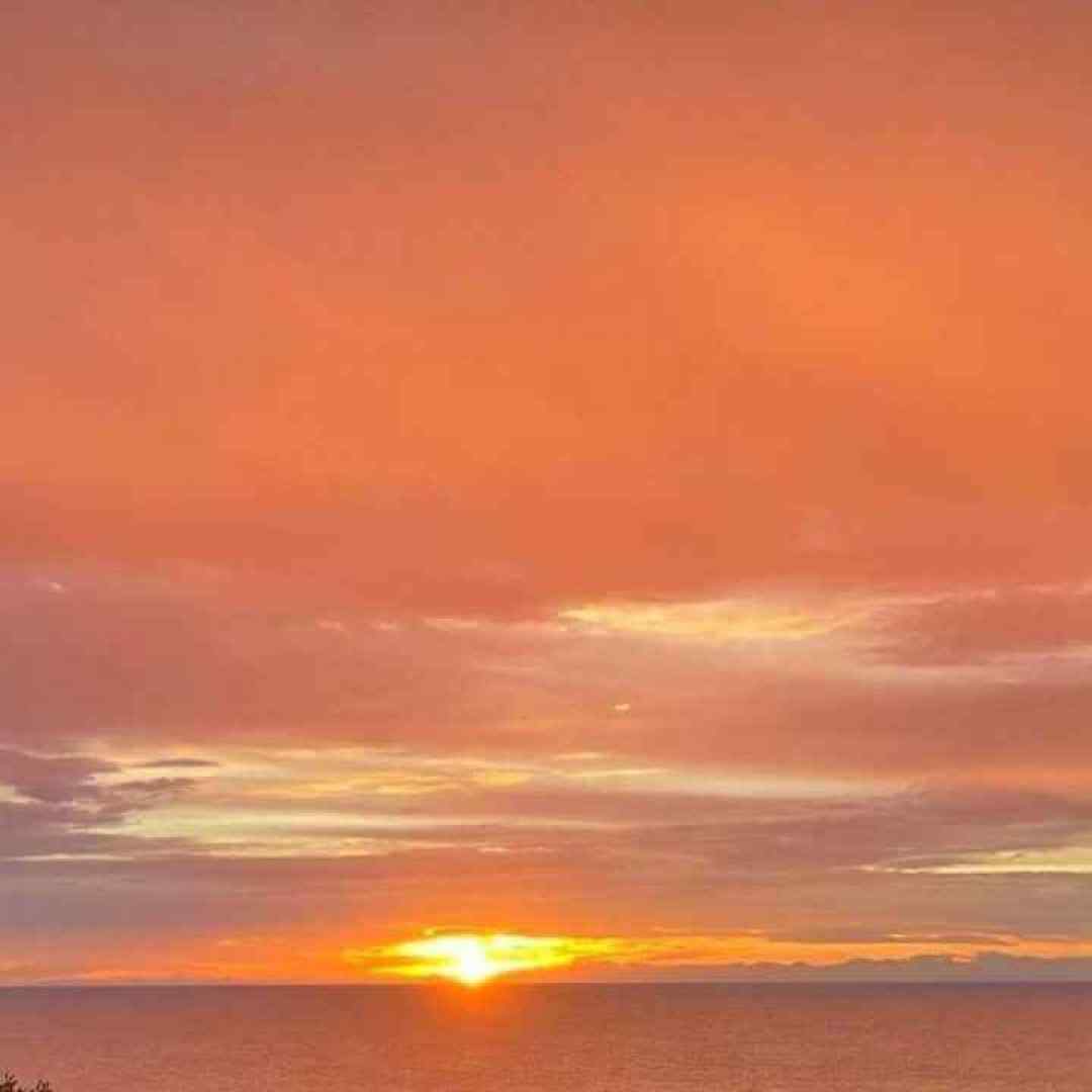  میگه جنست خوبه میگم فدایی داری هر جا اسمت