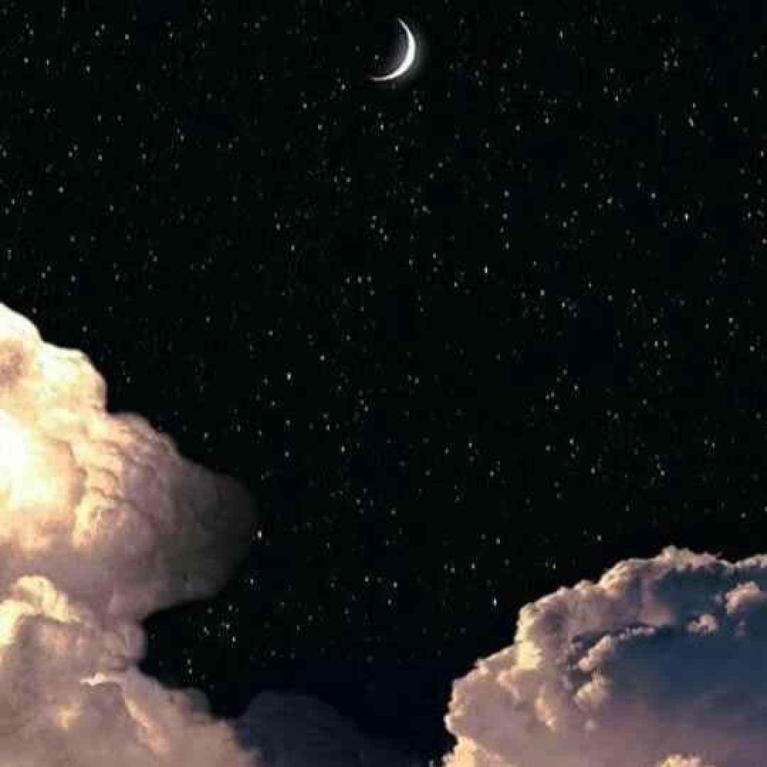  فرق میکنی بذار اینو بهت بگم اینستایی