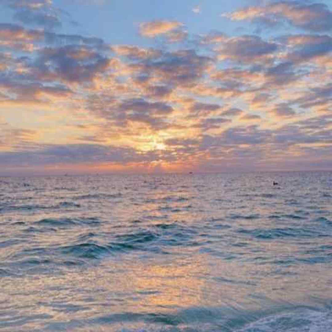  دل بال بال ایزنه سی یار جونی اینستاگرامی