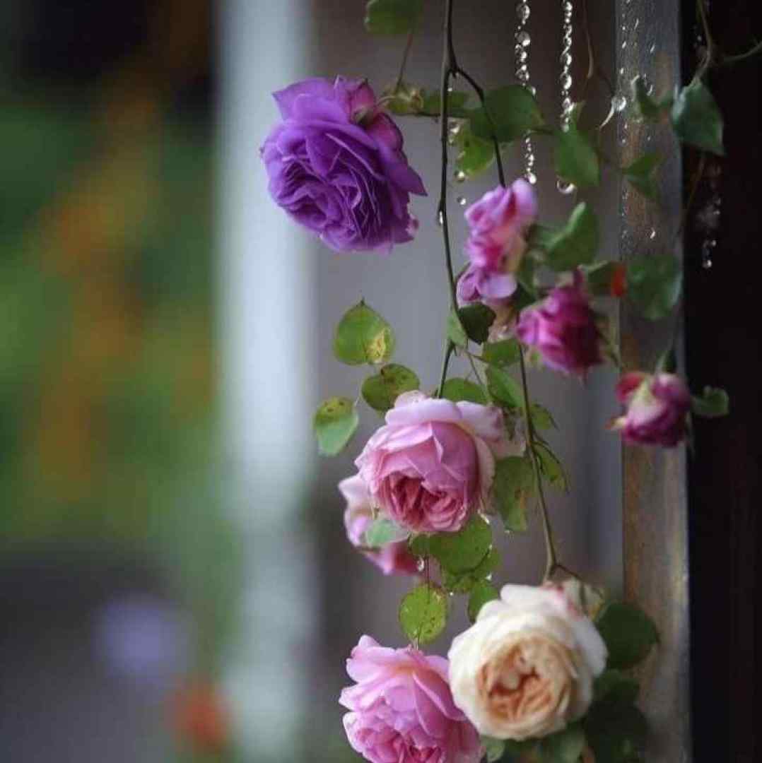  نگیر ازم خودتو میریزم بهم 