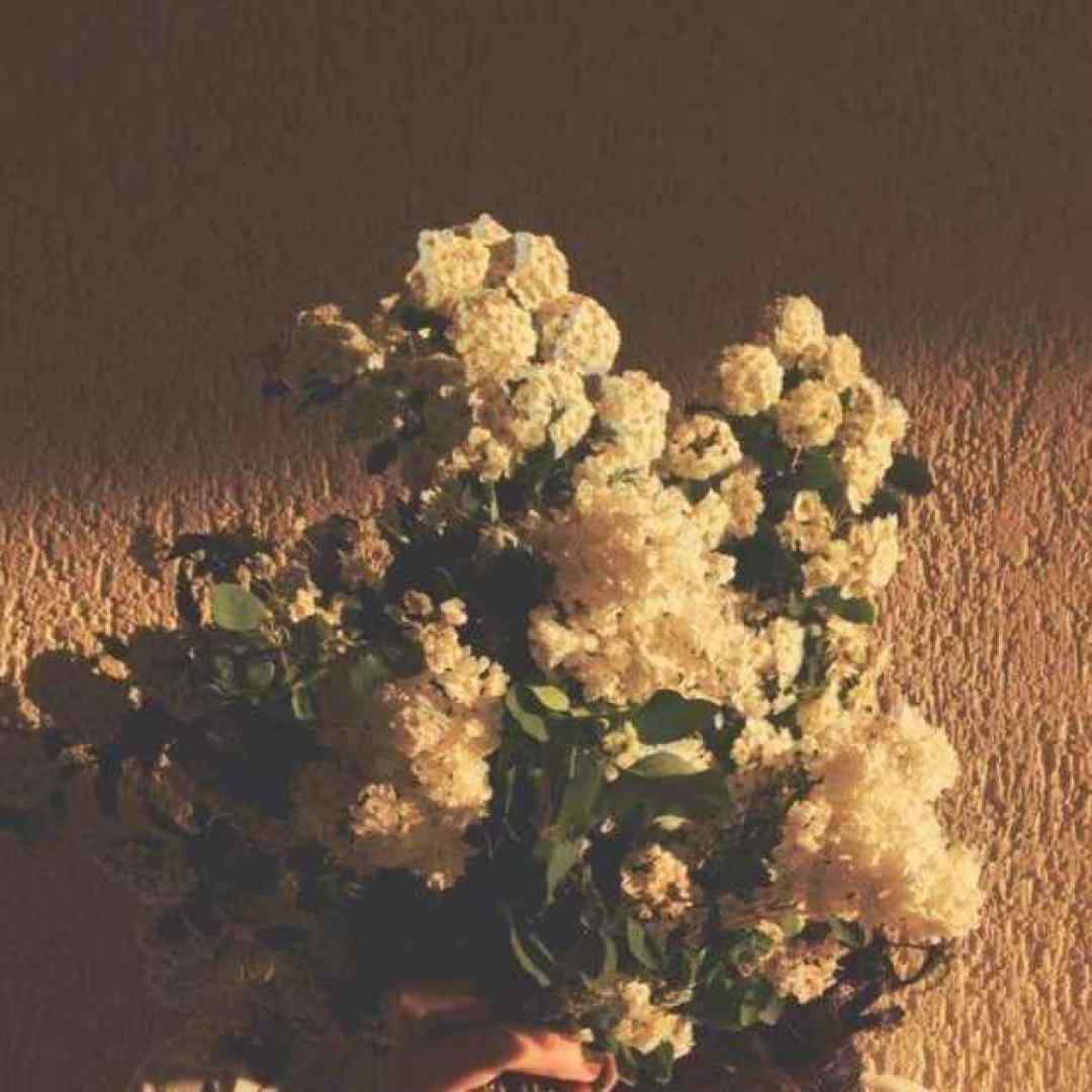 ستاره ی آسمانمی قشنگترین گناهمی ورژن گیتار