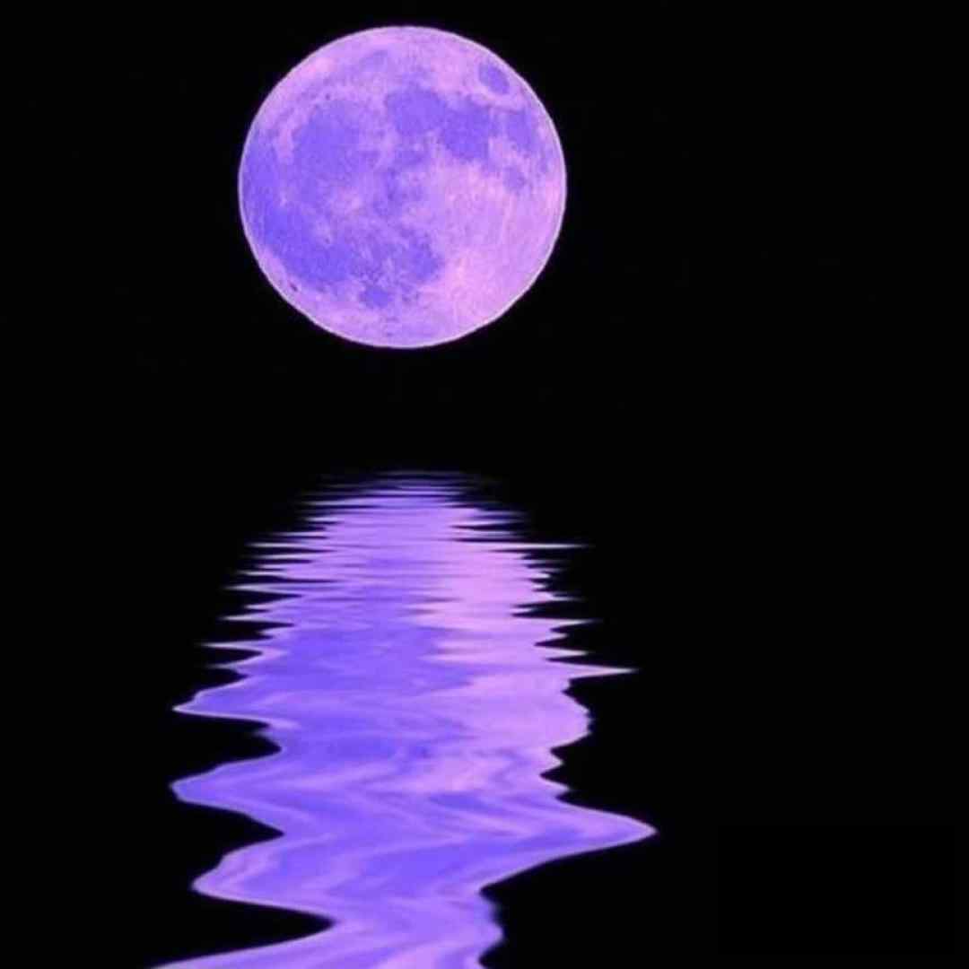  وای اگر جای دگر دلبری آغاز کند به رقیبان ورژن گیتار