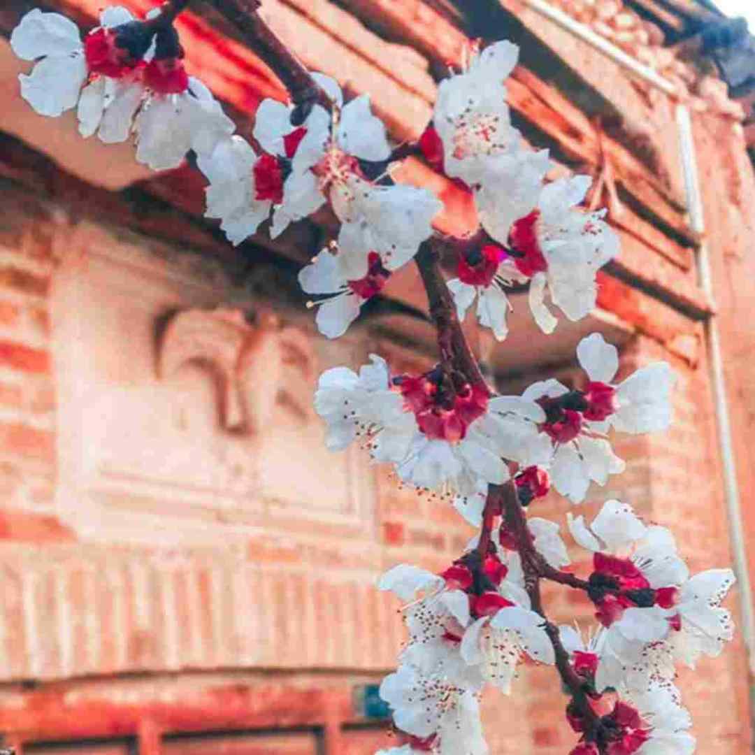  جز بغلت دیگه نمیخوام چیزی با صدای بچه