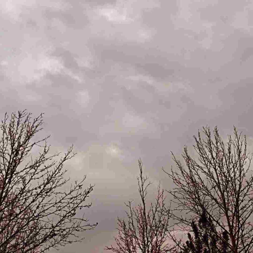 فاطمه عطایی نرم نواجش