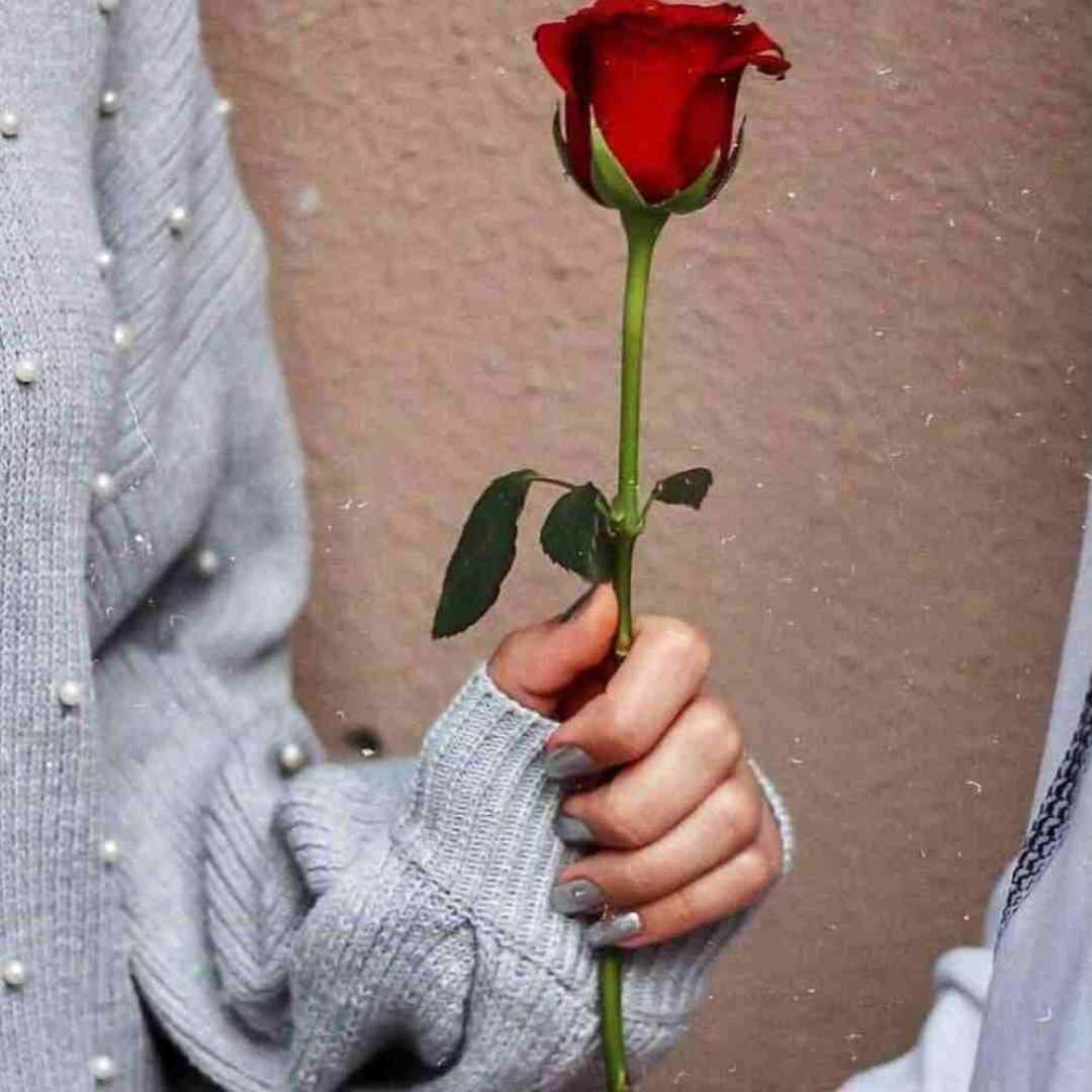 دف نوازان یلدایی باریکلا