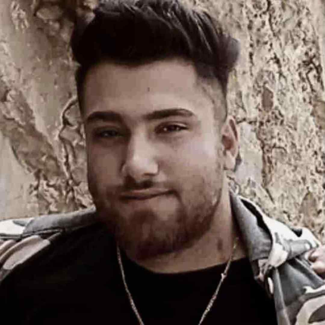 حامد سنجابی کما