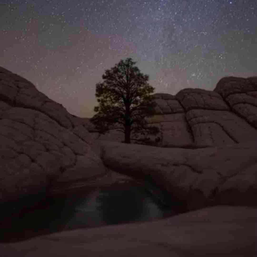 ﺷﻴﮏ ات ﺷﻴﮏ ات ﻣﻴﺮﻳﻢ ﺑﺎﻟﺎ ﻣﺜﻪ پیجت