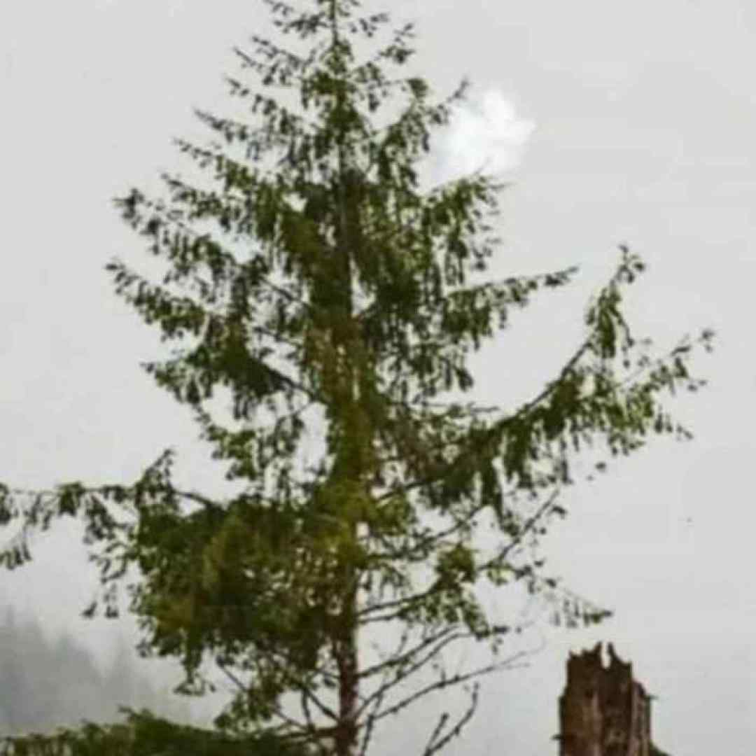 حس خوب بودنو دیگه بهم نمیده کسی