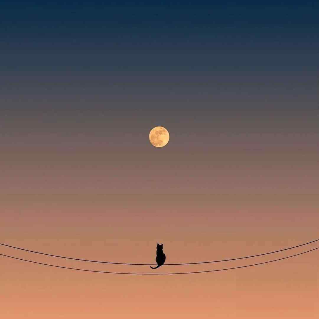  ببین اصن مشکلی نی که خودتونو گذاشتین پشت