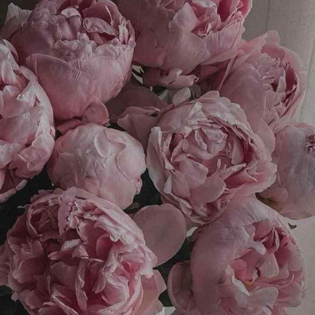  بالا باز بالا باز خودتو تکون بده