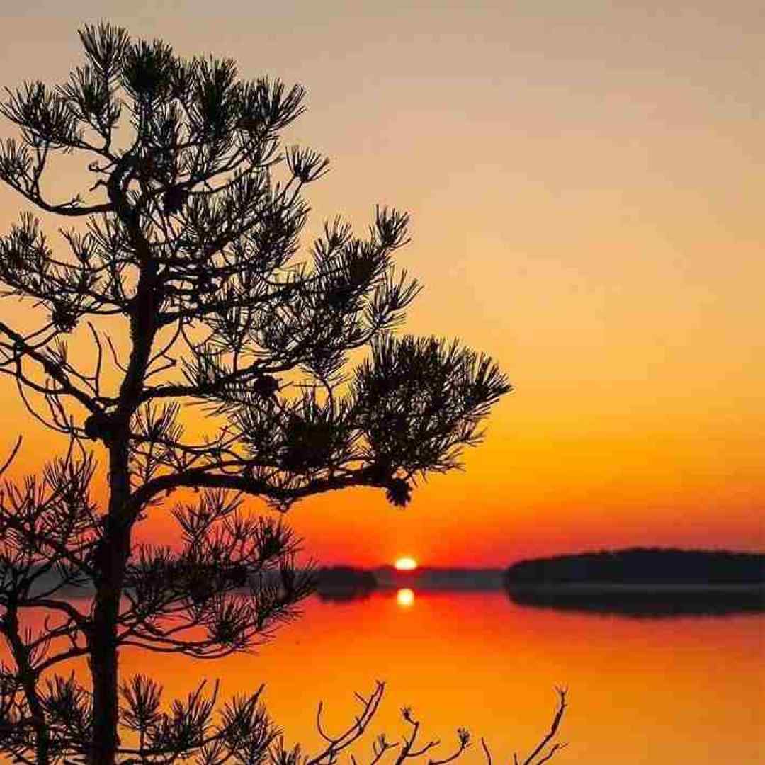  اگه گفتم که مثلت هست زیاد فقط واسه با صدای بچه