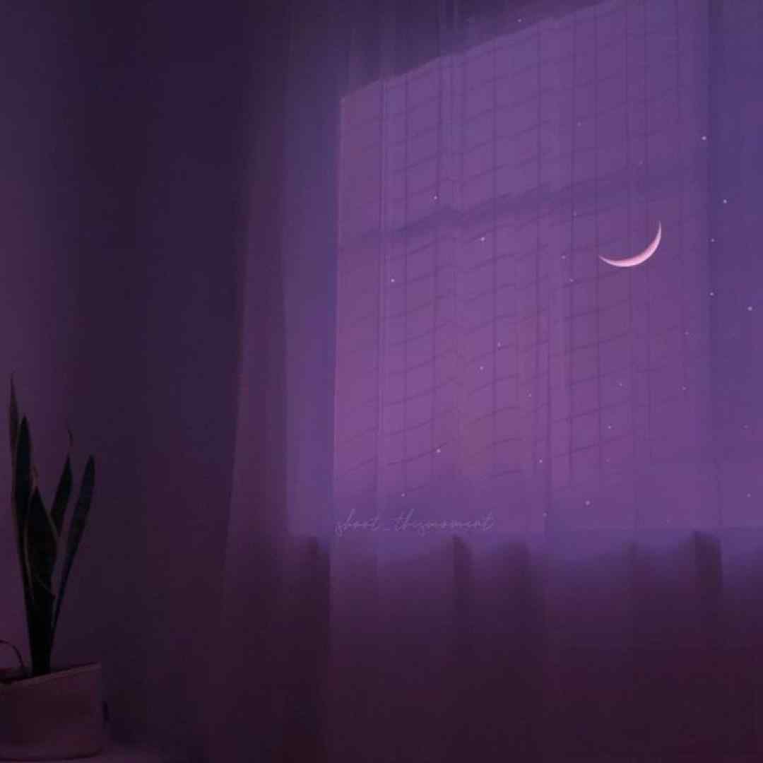  معتادتم نمیری از جلو چشم هرچی میرم ورژن کنسرت