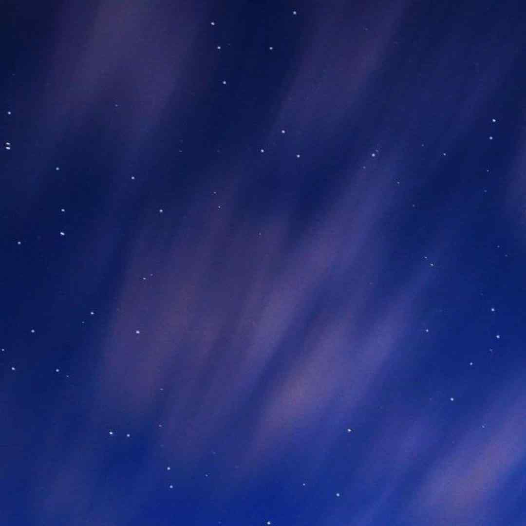  بهار اومد گلا وا شد دل ما باز خاطرخواه شد