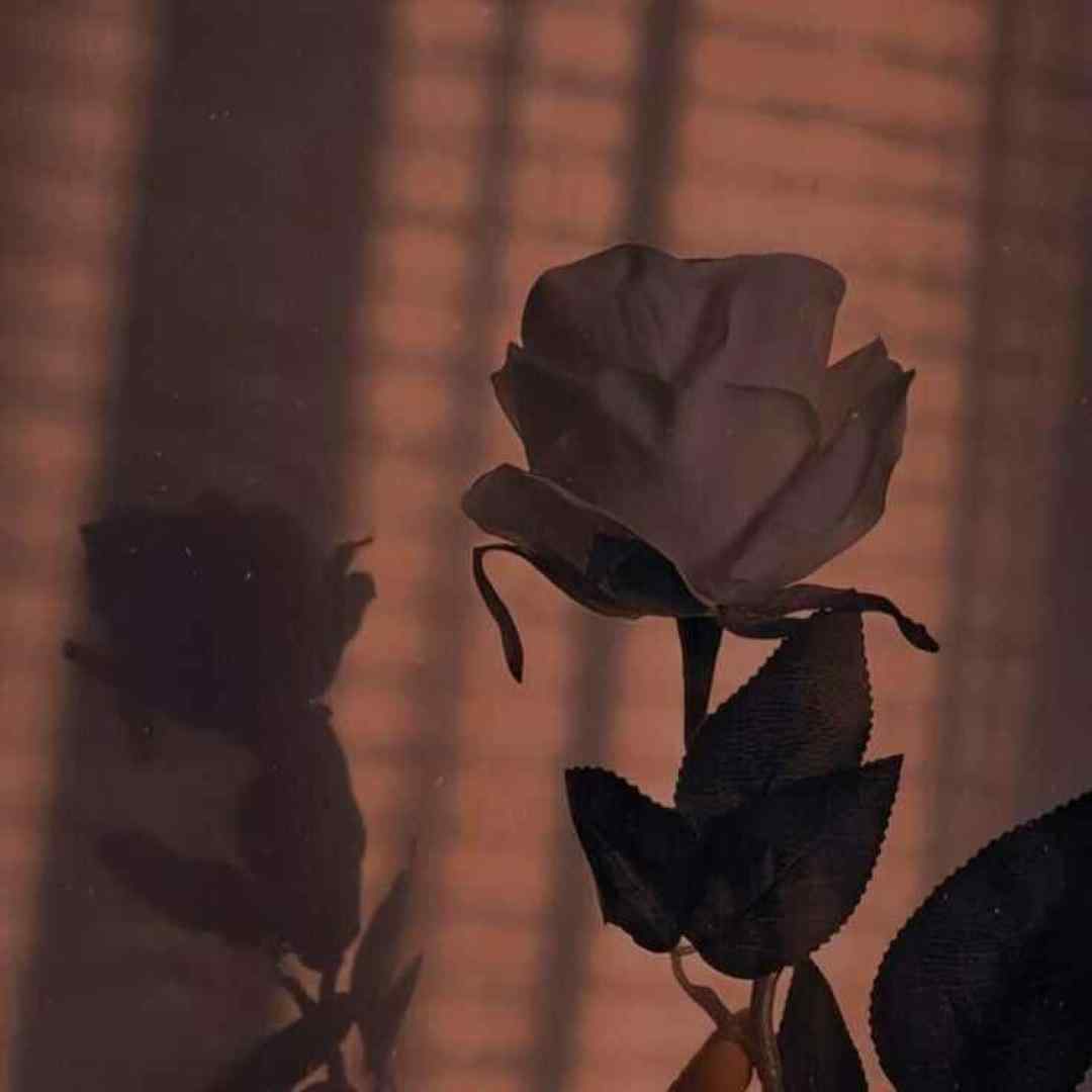 خارجی عشق واسه من یه معجزست