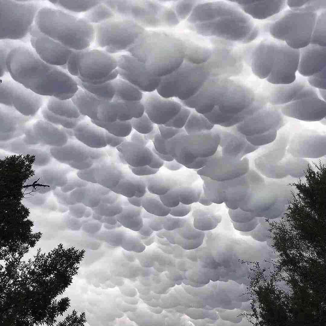  چشات چقدر ماهه این جونم میخواد ورژن گیتار