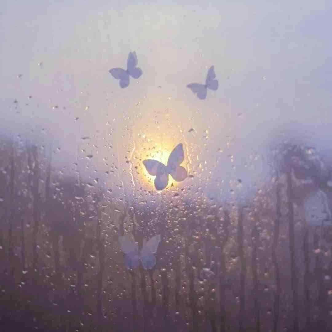  نگو به من که تو هرکاری کردی درسته با صدای بچه