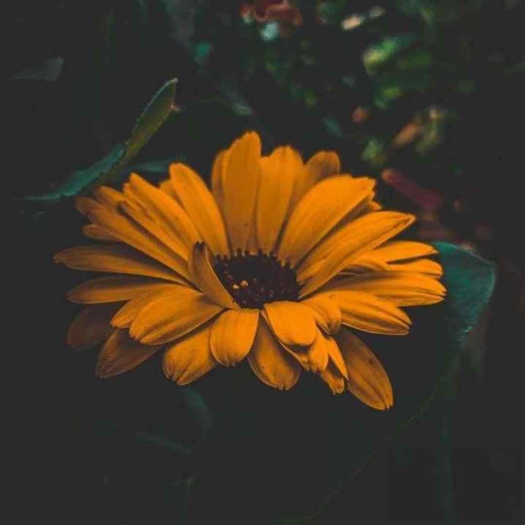  دلتنگی هایش میماند جا ماندی با صدای مرد اینستاگرامی