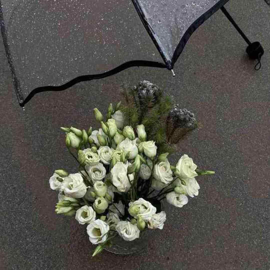  الو مخاطب خاصم میشنوی تو التماسم ورژن اینستایی