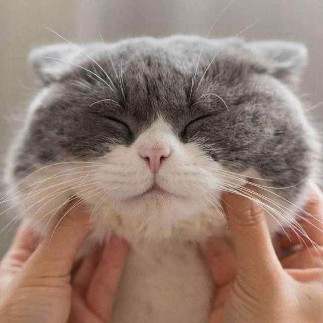  عشق یعنی خودت بیا درد چشات به سرم ورژن جدید اینستاگرامی