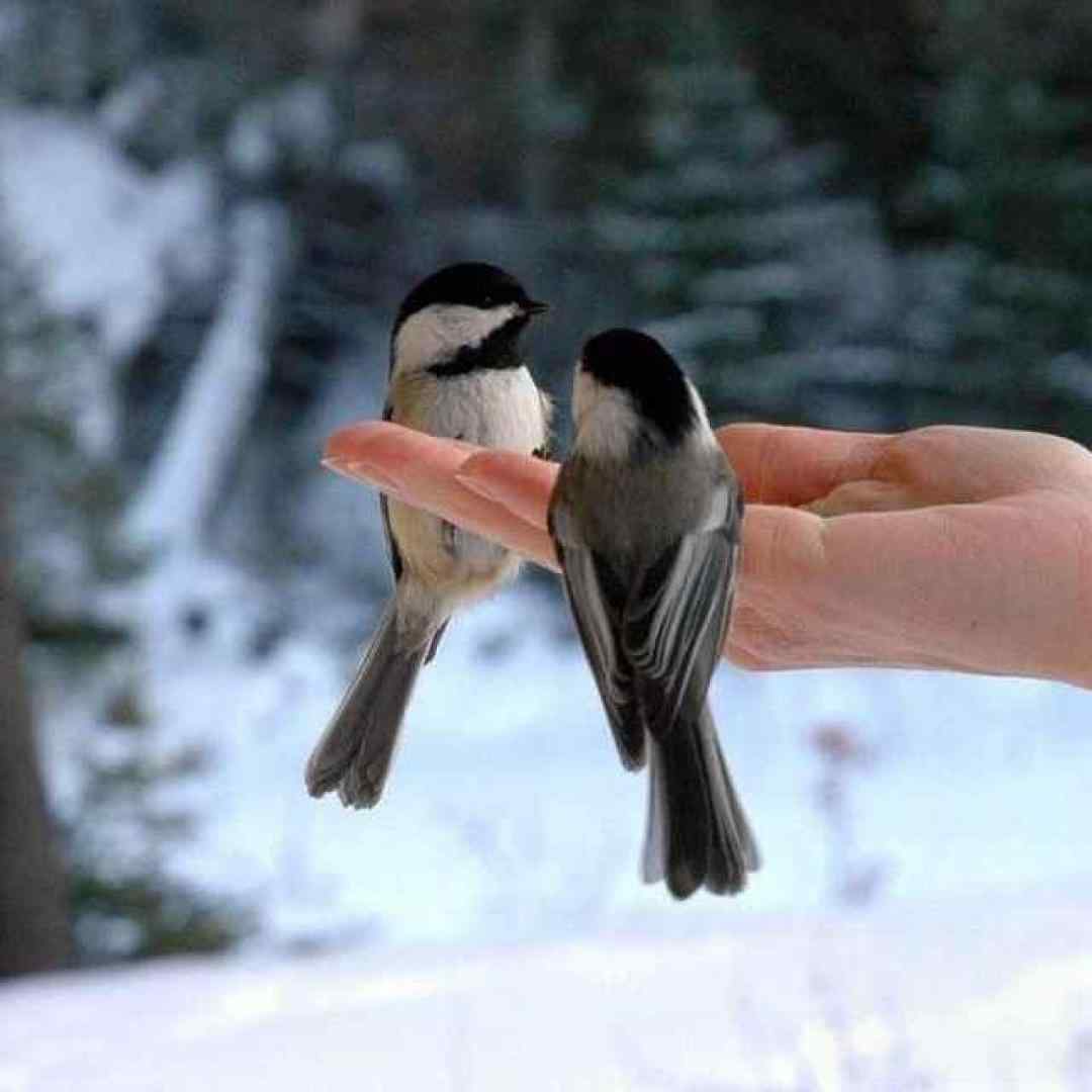  من عاشقت هستم اینو نمیفهمی ورژن کنسرت