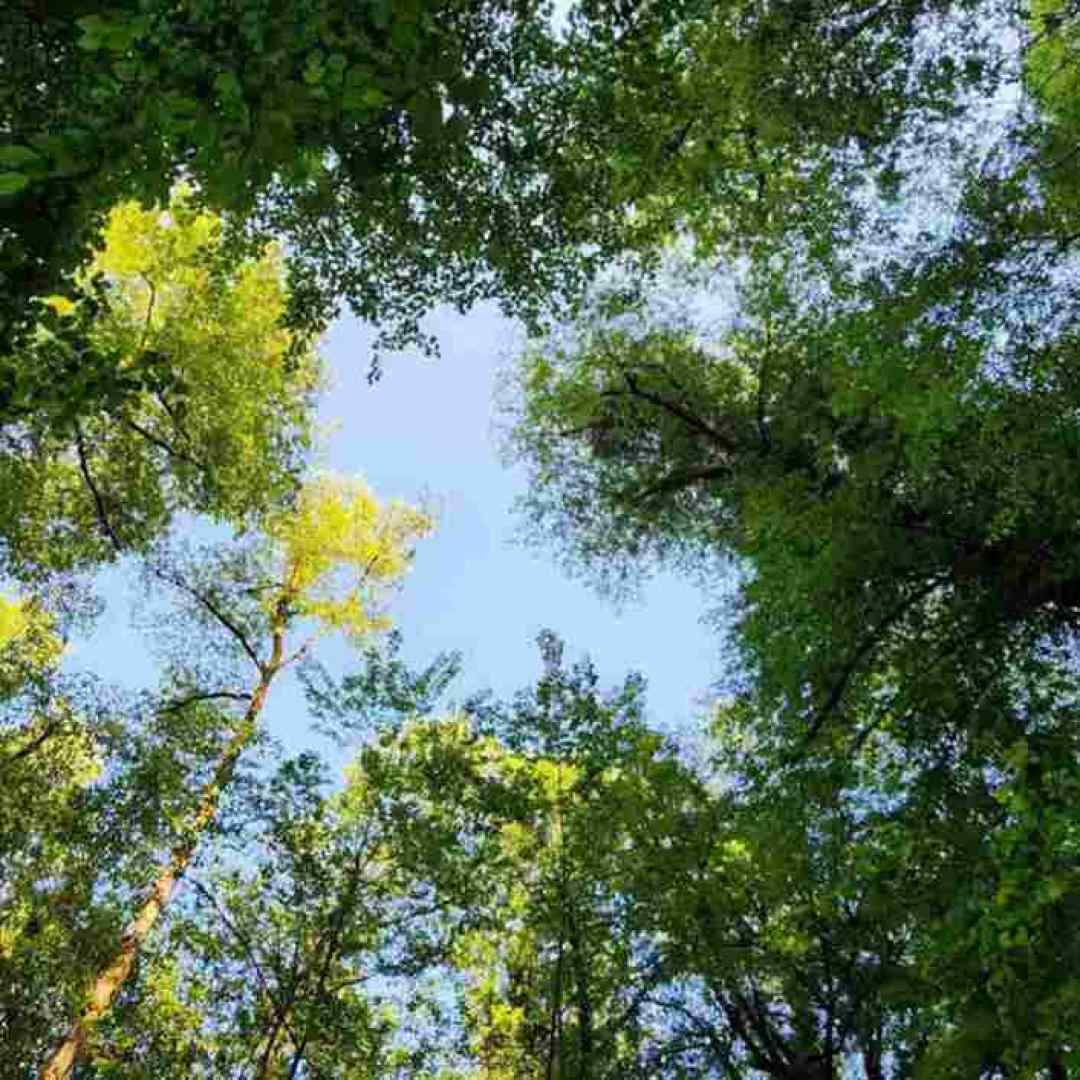  عزیزم اومدم آخه گفته بودی دیر نکن با صدای بچه