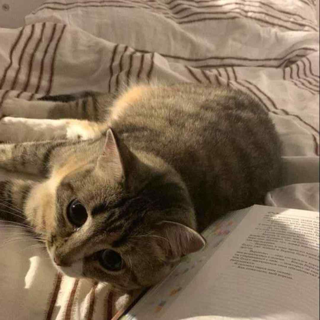  امشب دیگه زدم هر ترکیبی بود خاطرات که میکنه بد سنگینی