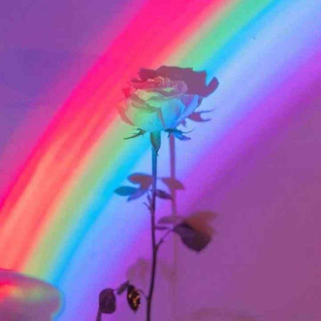 نفسم هرجا بودی تنها وایسا برسم آسمون شهر