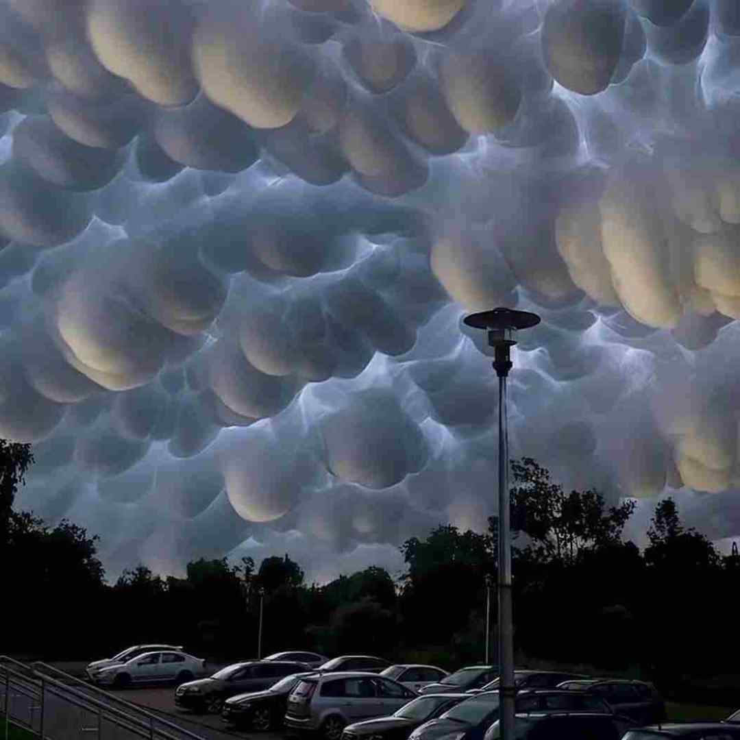  هرچی گفتم پس میگیرم میخوام عشقتو ورژن گیتار