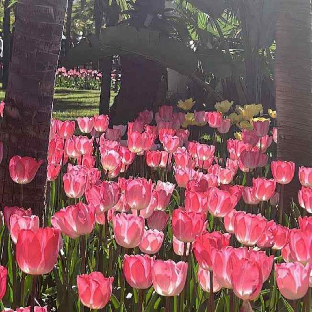  مو او اشکسته بالم که دارم شوق پرواز با صدای دختر اینستایی