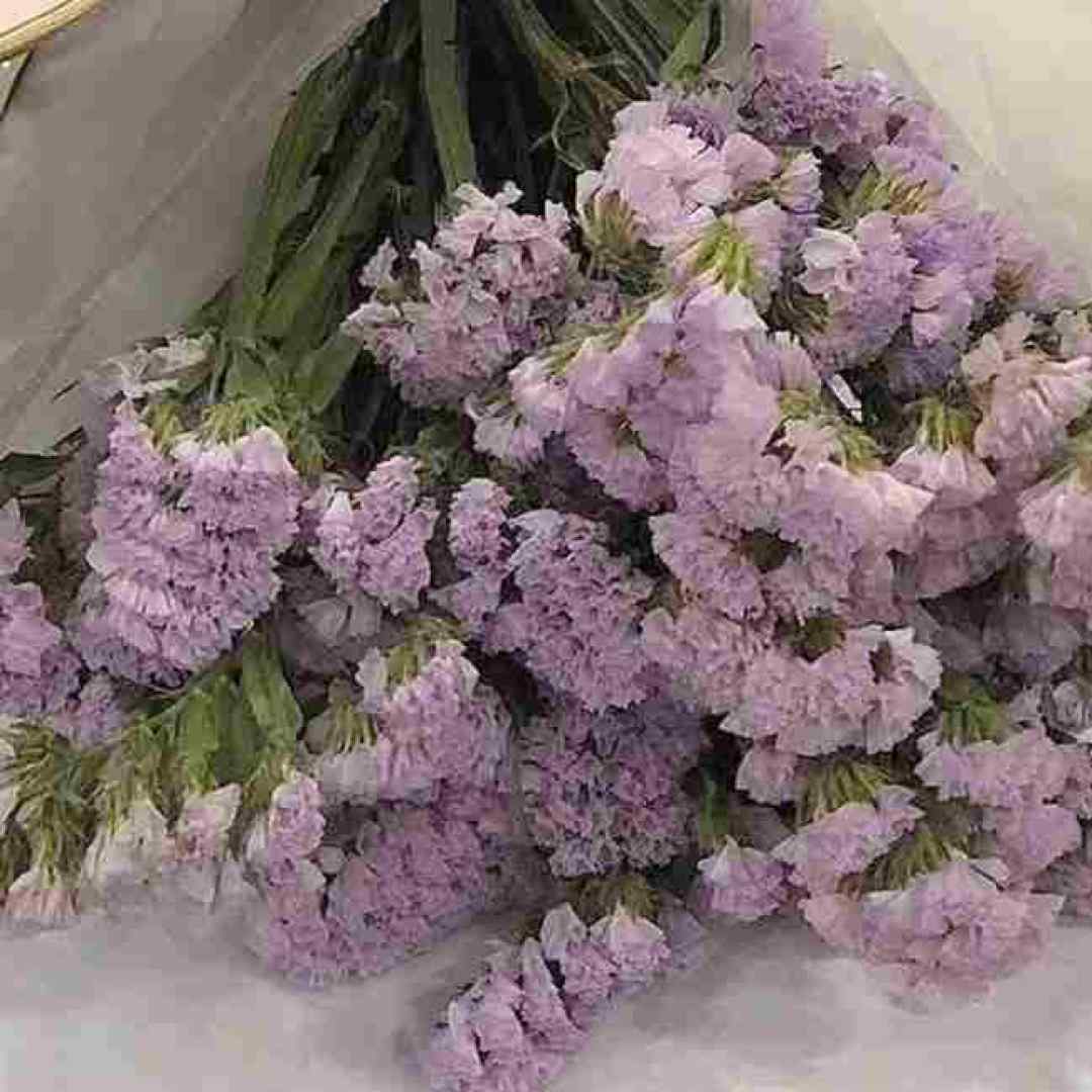  نارفیق بودی برام آهای رفیق بامرام ورژن اینستاگرامی