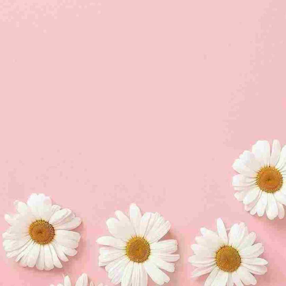 شوخی که ندارم عشق شوخی سرش نمیشه با صدای بچه