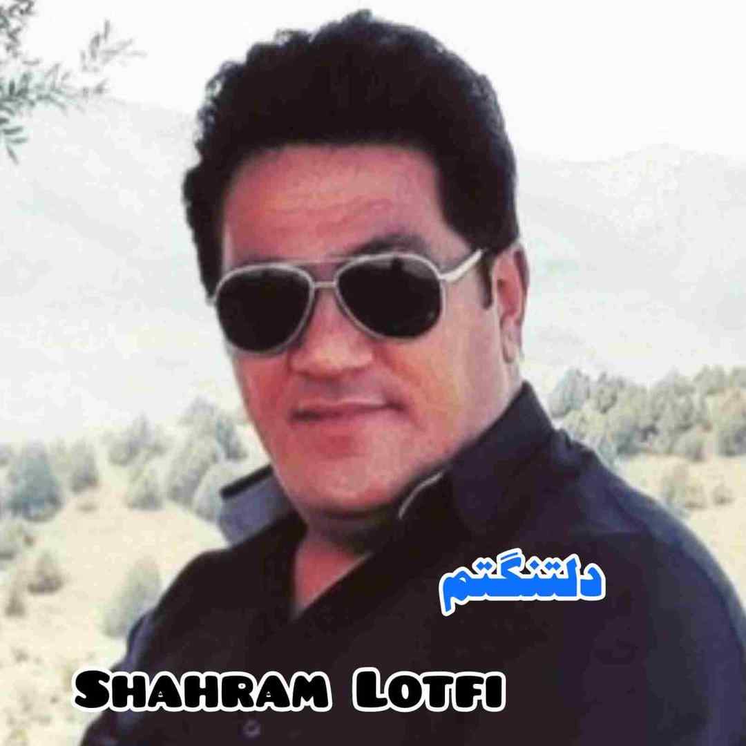 شهرام لطفی دلتنگتم