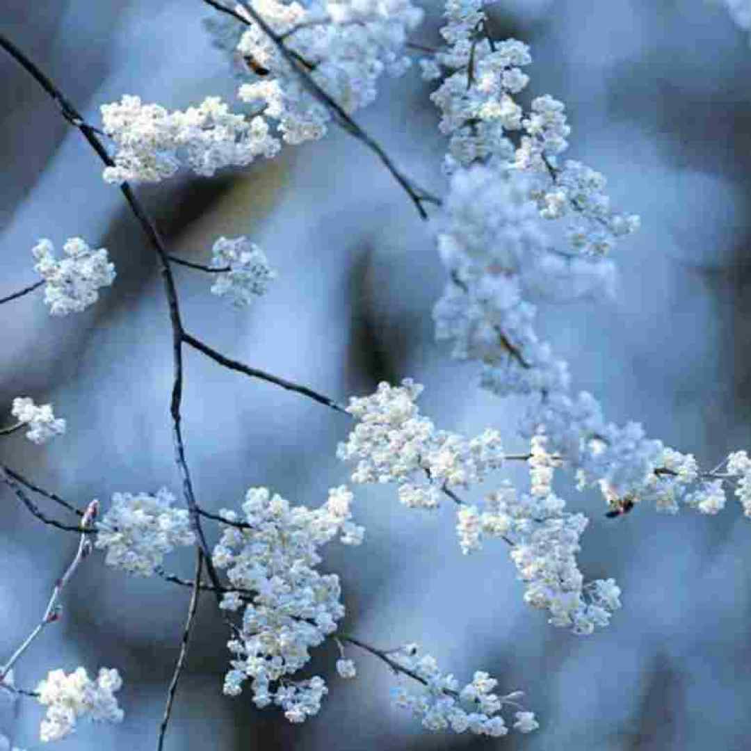  با من غریبگی نکن با من که درگیر توعم ورژن پیانو