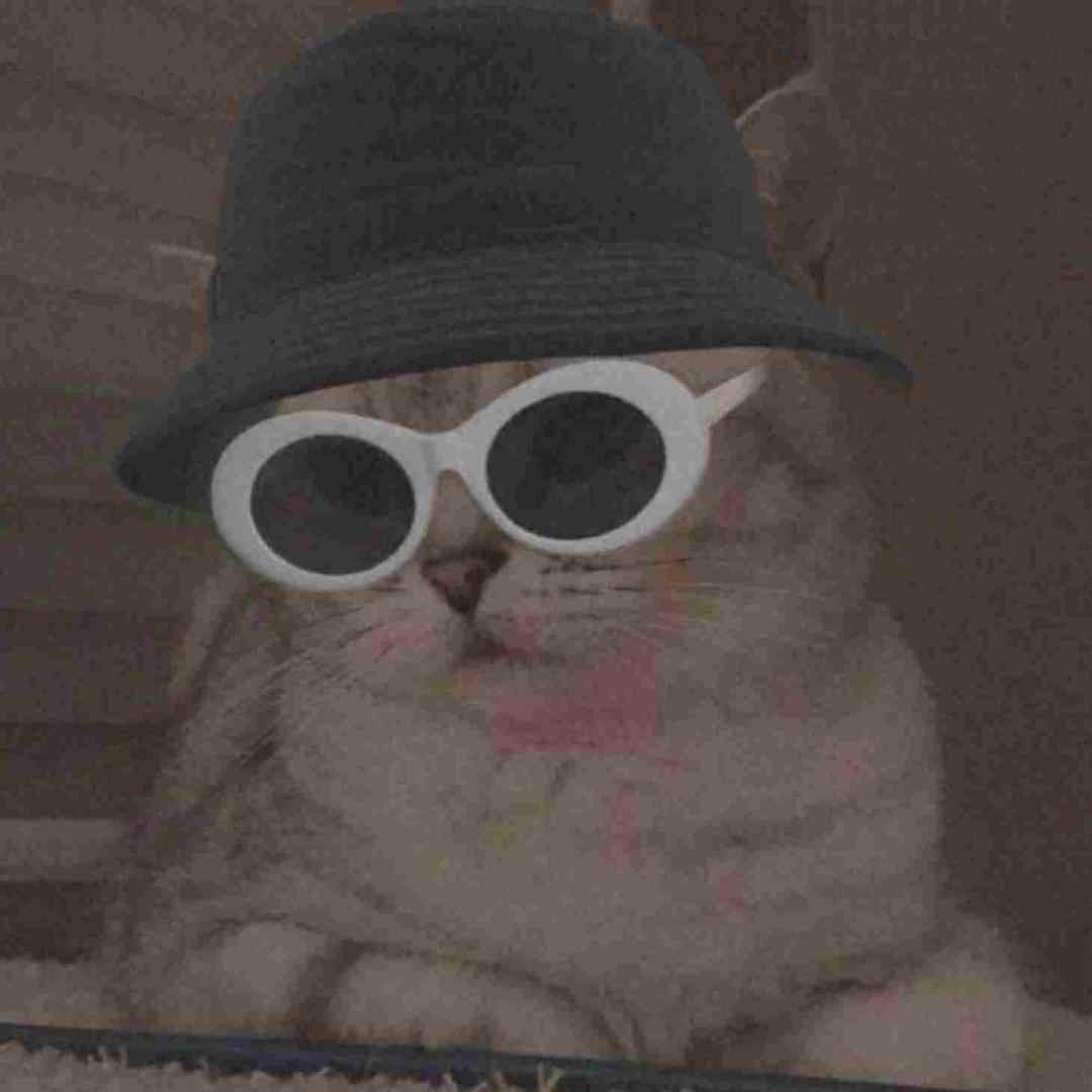 افشین رحیمی دیوونتم یار