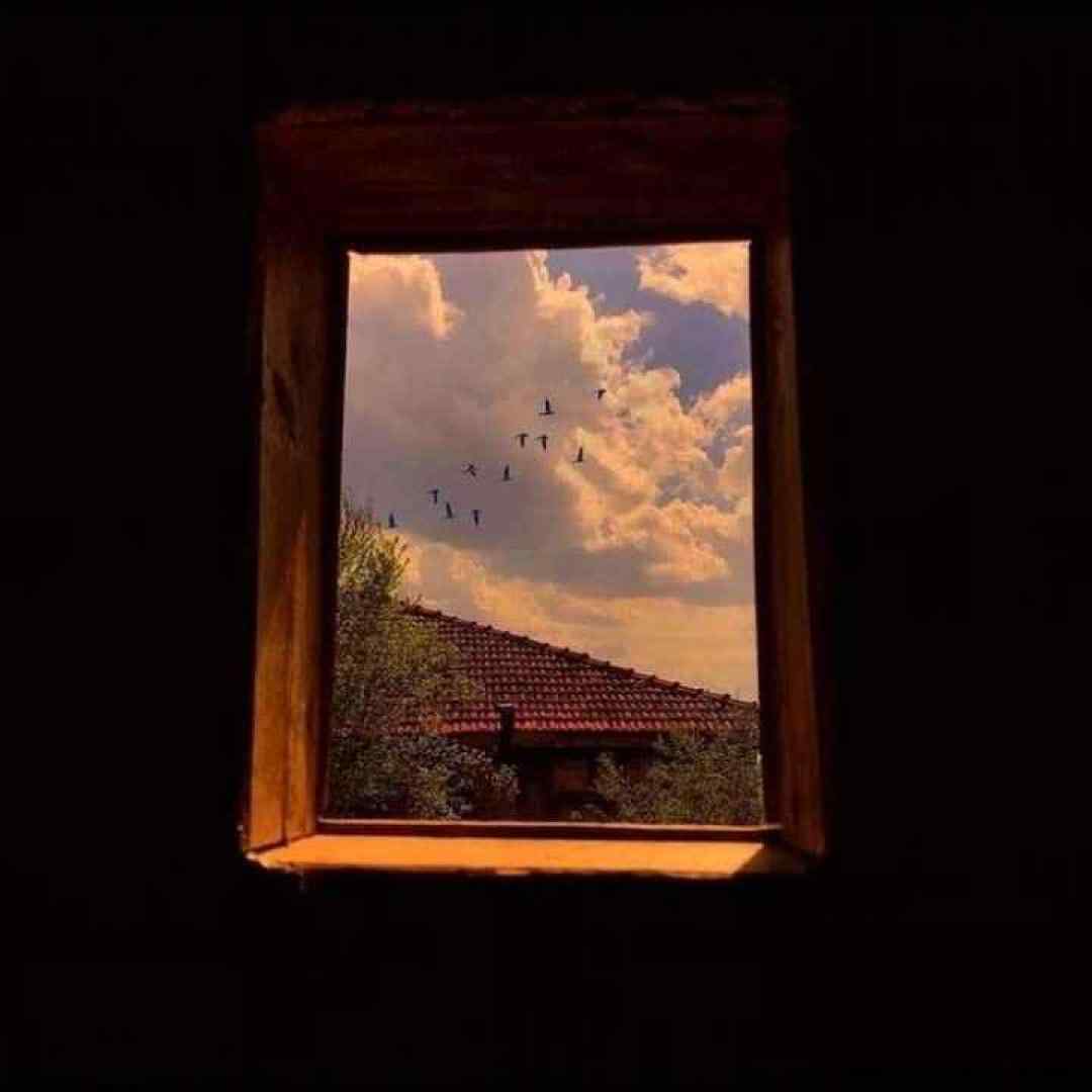 تو موسیقی انقلاب کردی چرا تو اصن هیچی حالیت نی