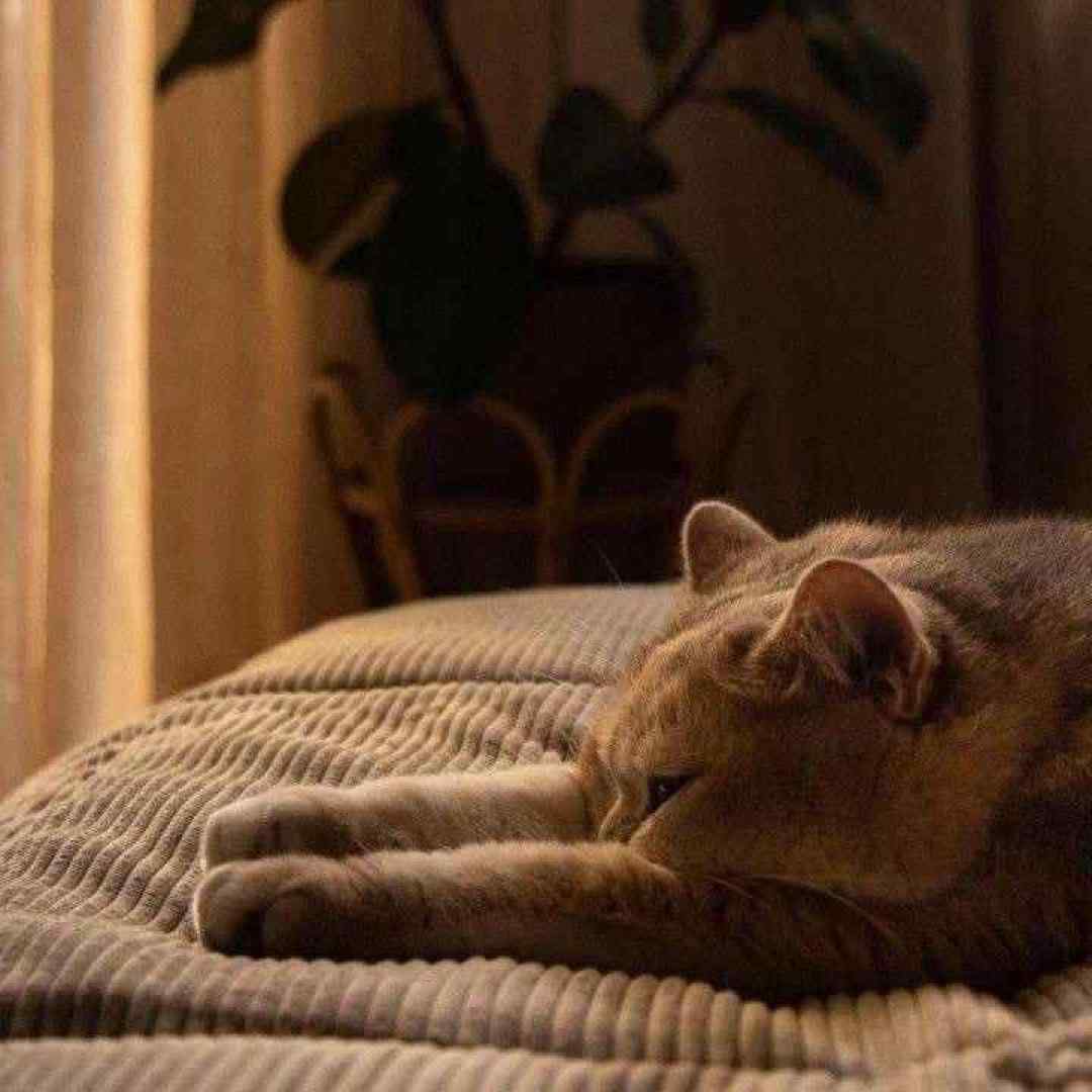  حتی اگه بمیرمم فکرت نمیره از سرم با صدای بچه