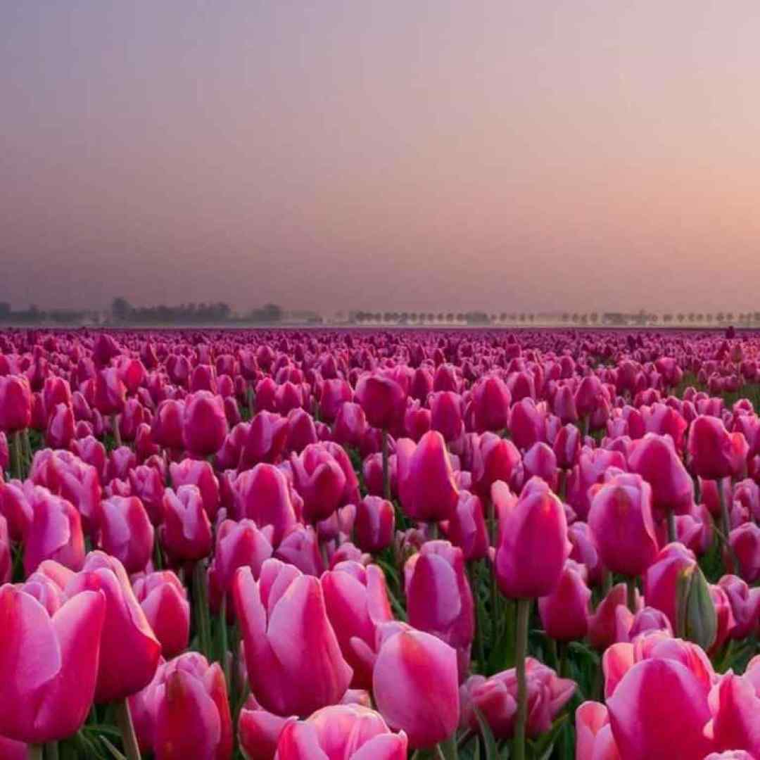 یا مولا دلوم تنگ اومده شیشه ی دلوم با صدای پسر