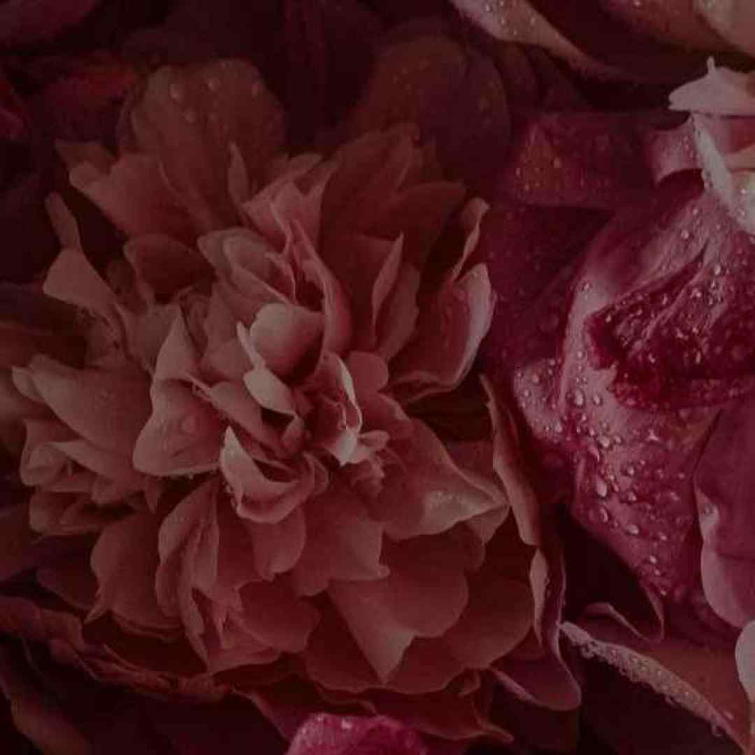  آخه خیلی کاملی از پیشم نمیخام بری با صدای بچه