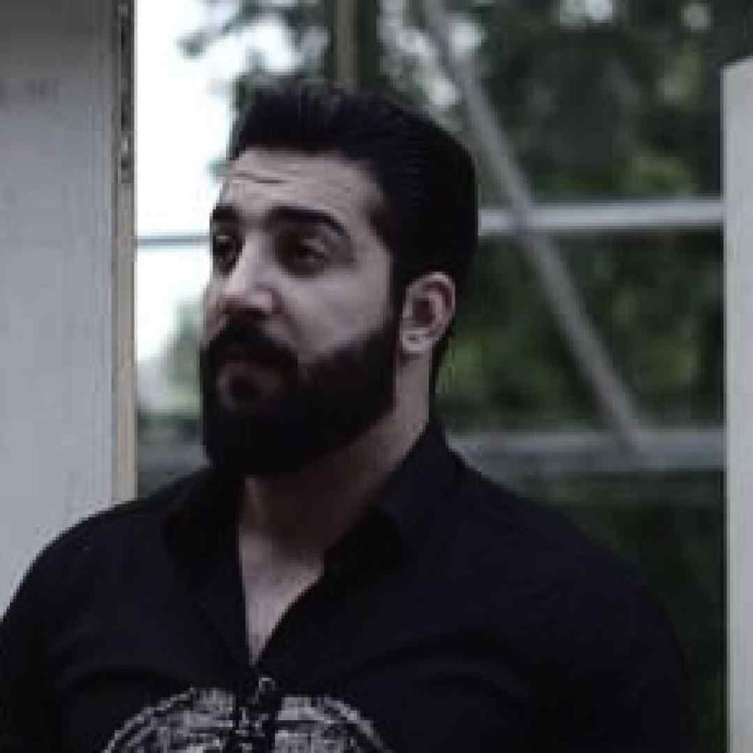 آرمین سبزواری آشوبگر