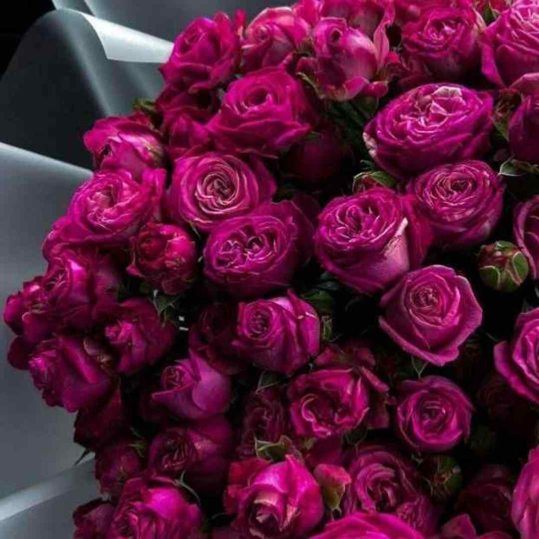  تو تنها دوم شخص مفرد منی با صدای بچه