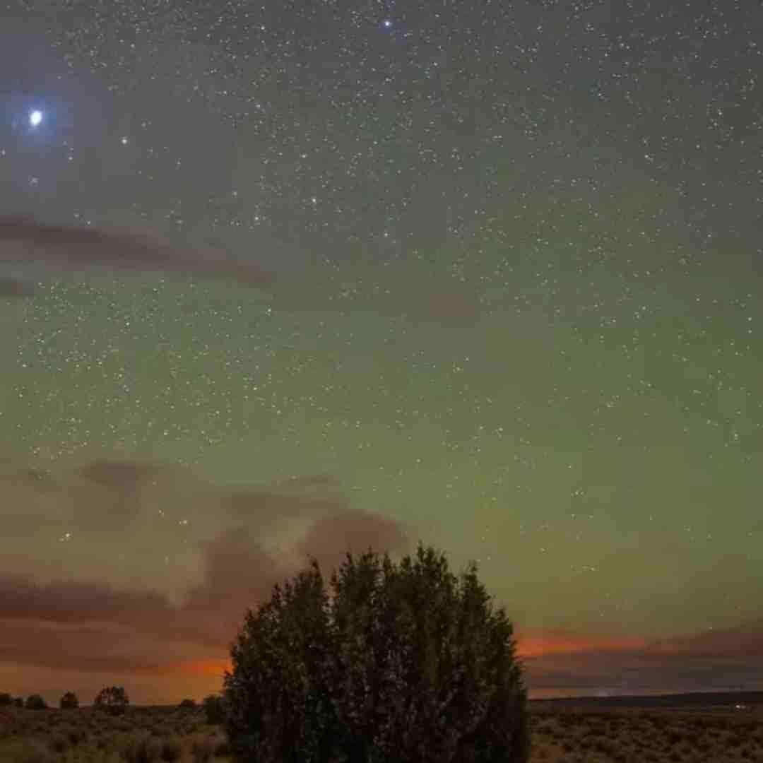 باز منو کاشتی رفتی تنها گذاشتی رفتی با صدای بچه