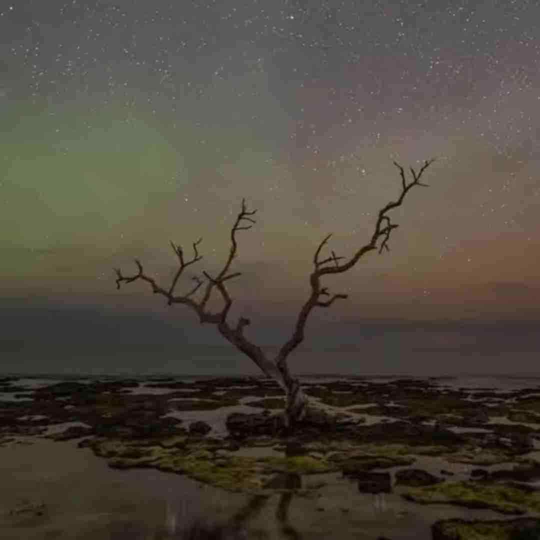  گفتم که یار نازنین شیشه دلم چی میشه ورژن گیتار