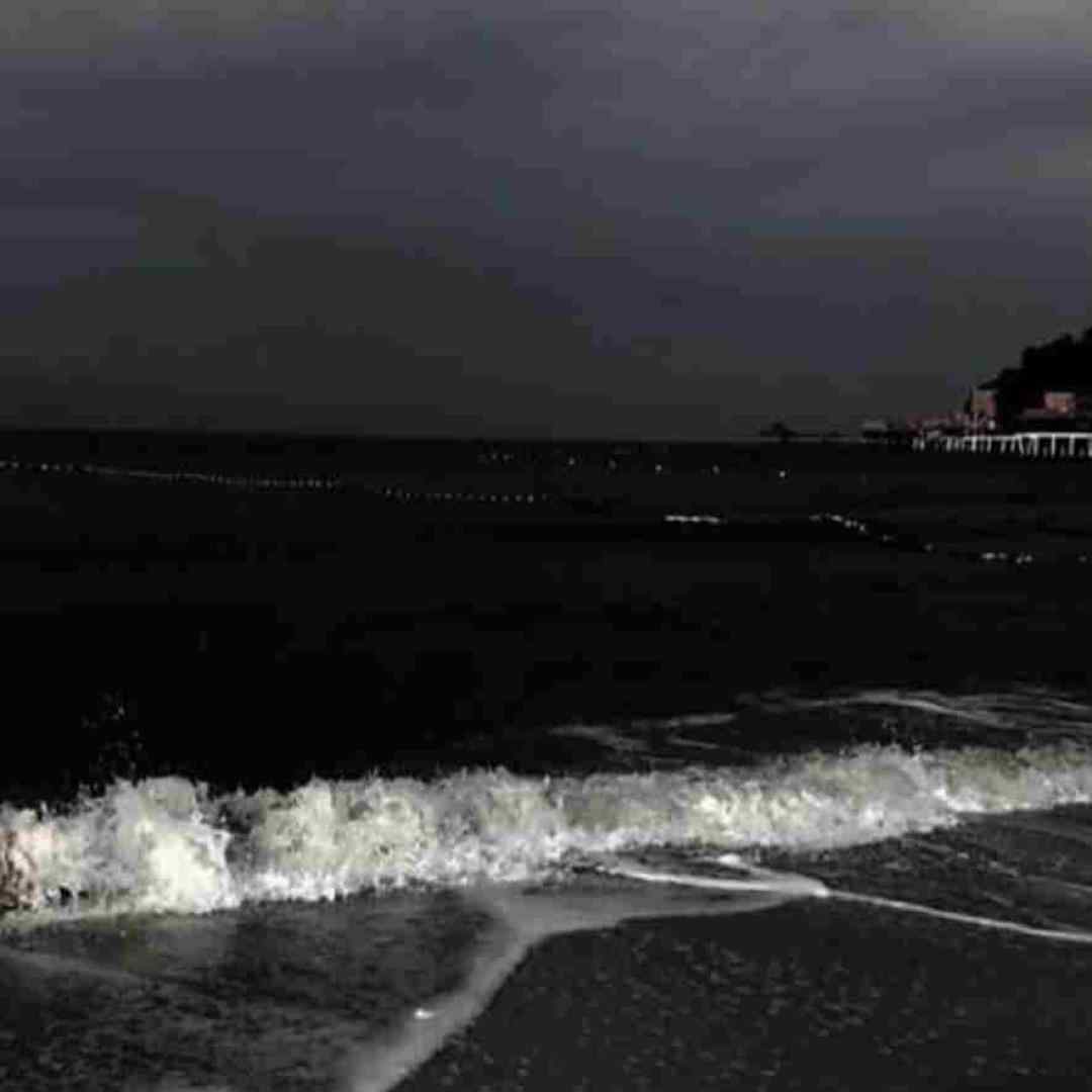 تو فکر میکردی نفهمم و نمیدونم نمیدونم نفسم هرجا بودی