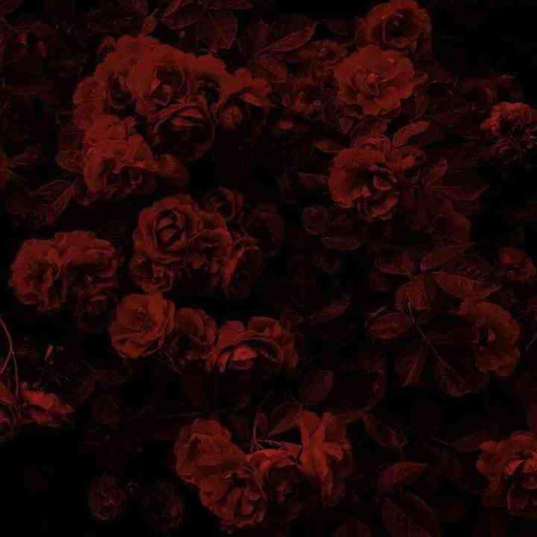 بیقرارم ای نگارم تو کجایی خبر ندارم پرسه های بی امانم در خیابان