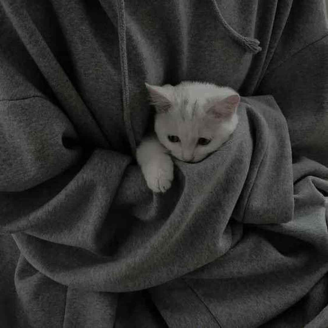  نیستش قابله دسترس عین خط ایرانسل با صدای بچه