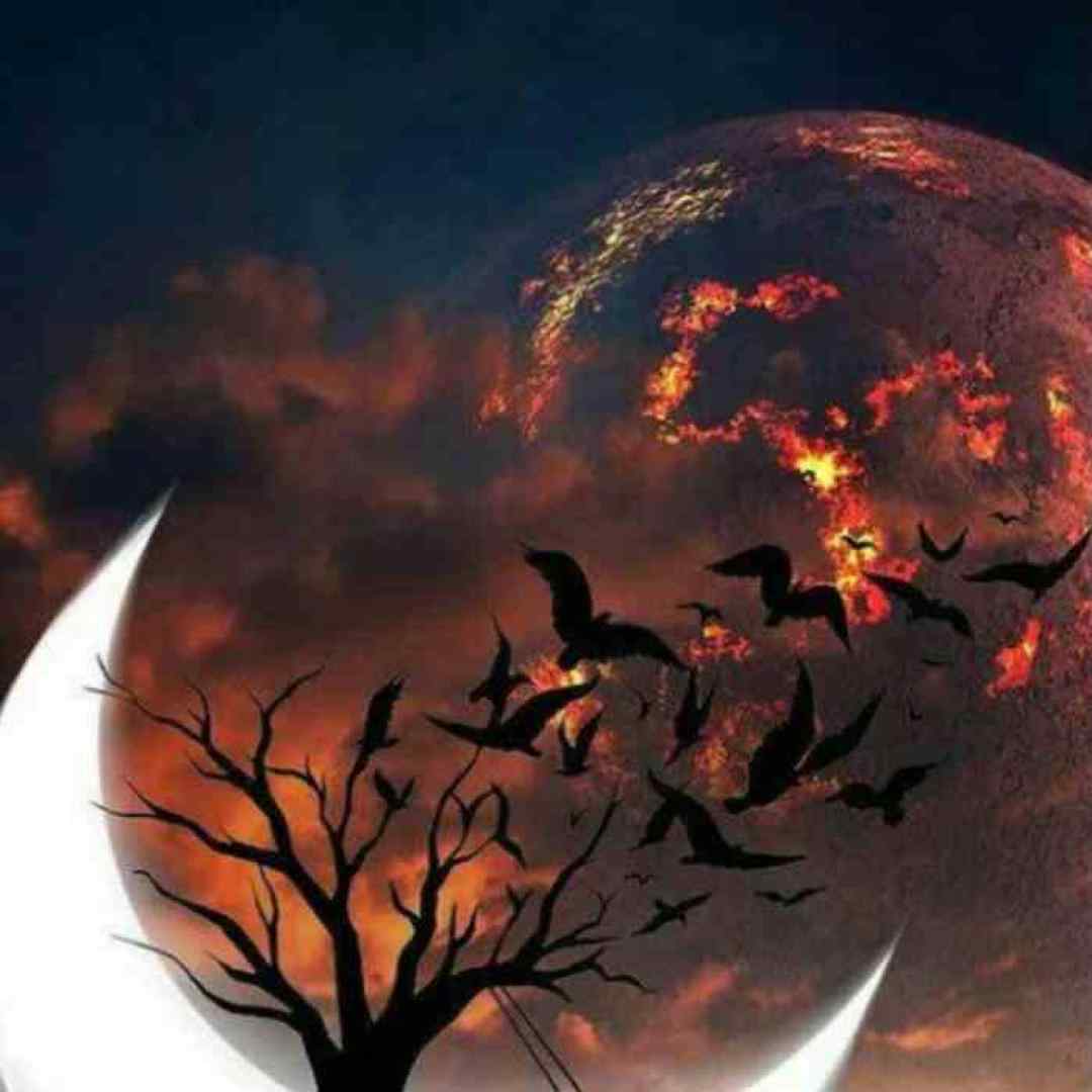  مو او اشکسته بالم که دارم شوق پرواز ورژن اینستاگرامی