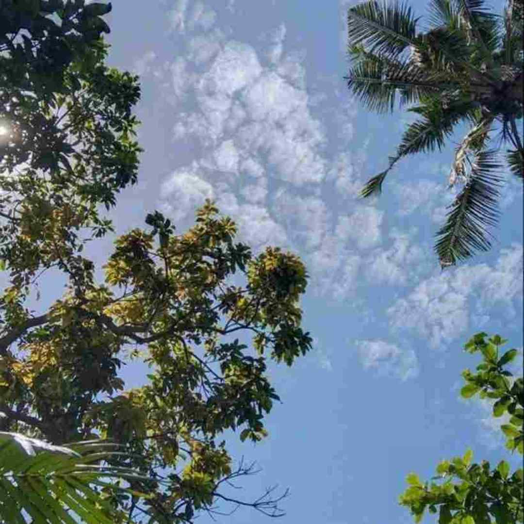 الان که وابستت شدم میزاری میری ورژن اینستایی