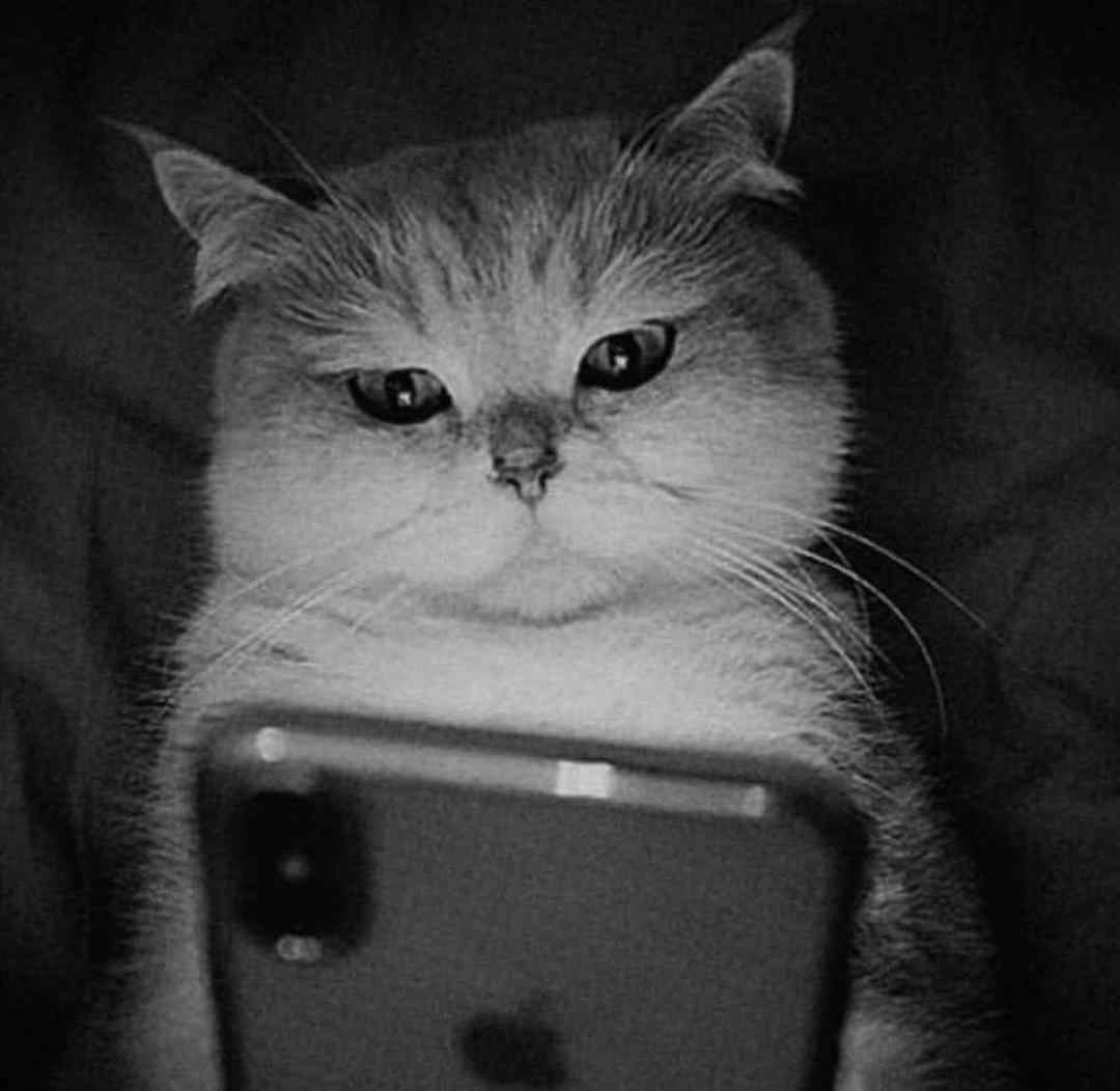  وقتی همه حال خرابیات با من بوده اول سلامتی اونایی که بودن