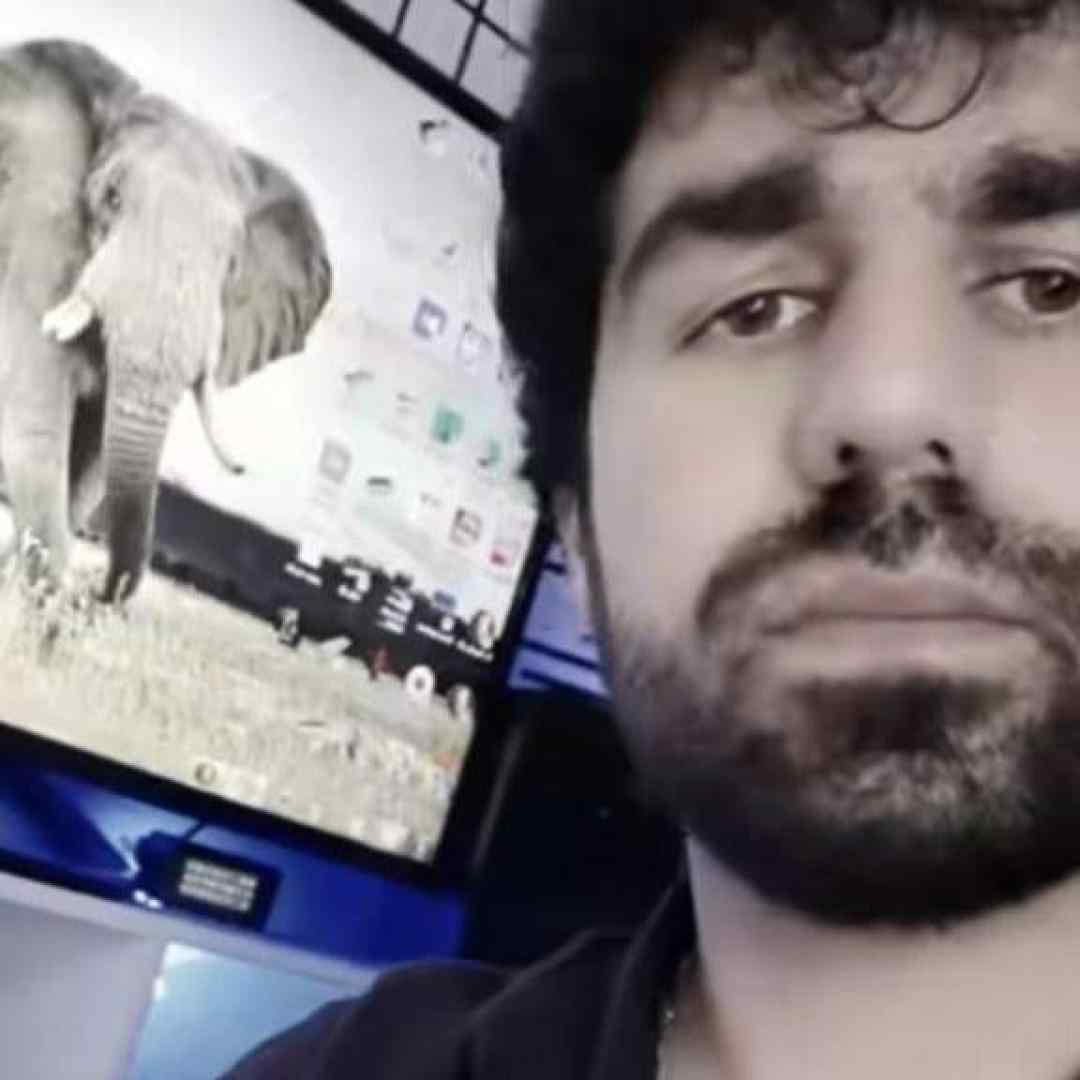 یوسف جمالی تو کثیف ترین اشرف مخلوقاتی