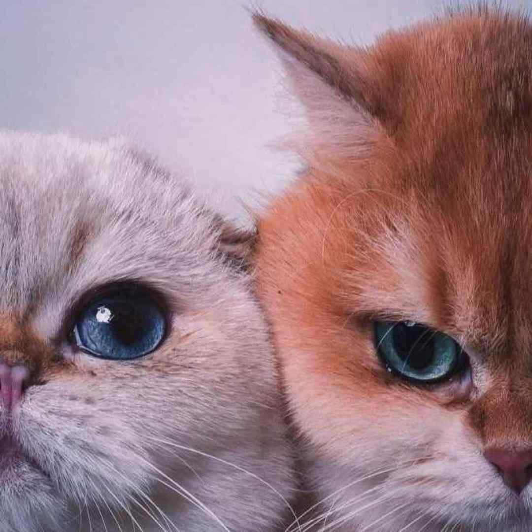  افسوس که گذشته دیگه بر نمیگرده